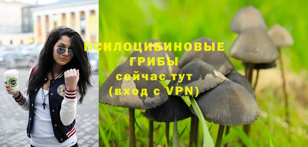 каннабис Инта